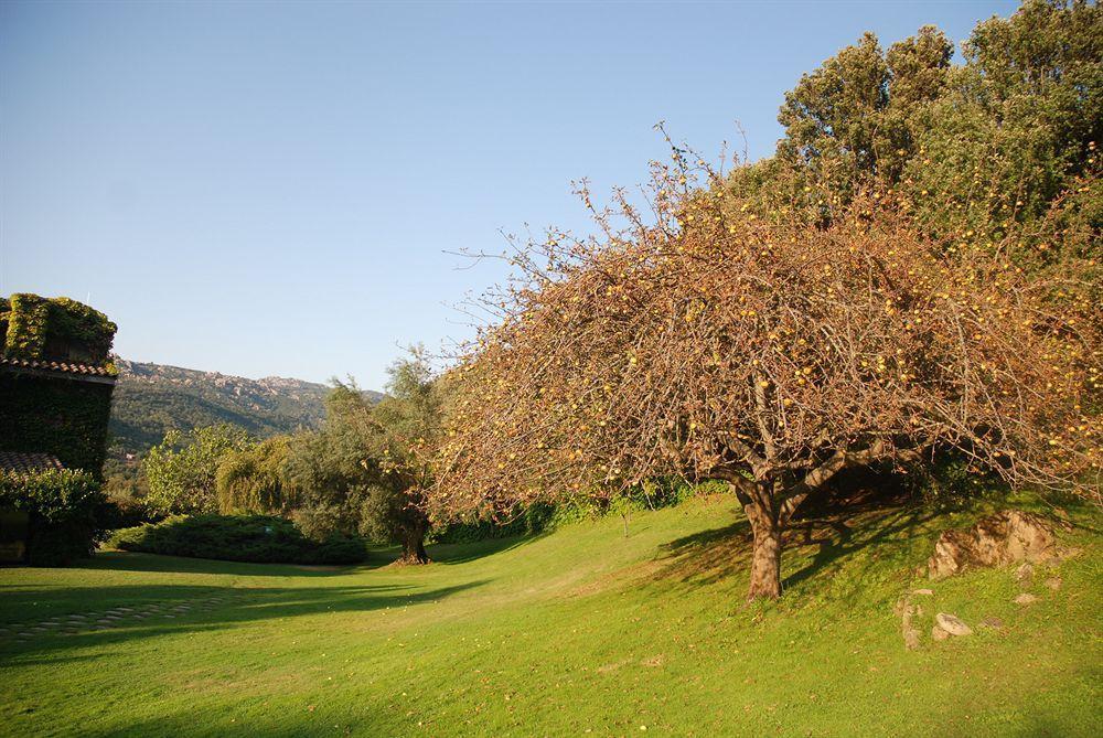 L'Agnata Di De Andre Boutique Hotel Tempio Pausania Exteriér fotografie