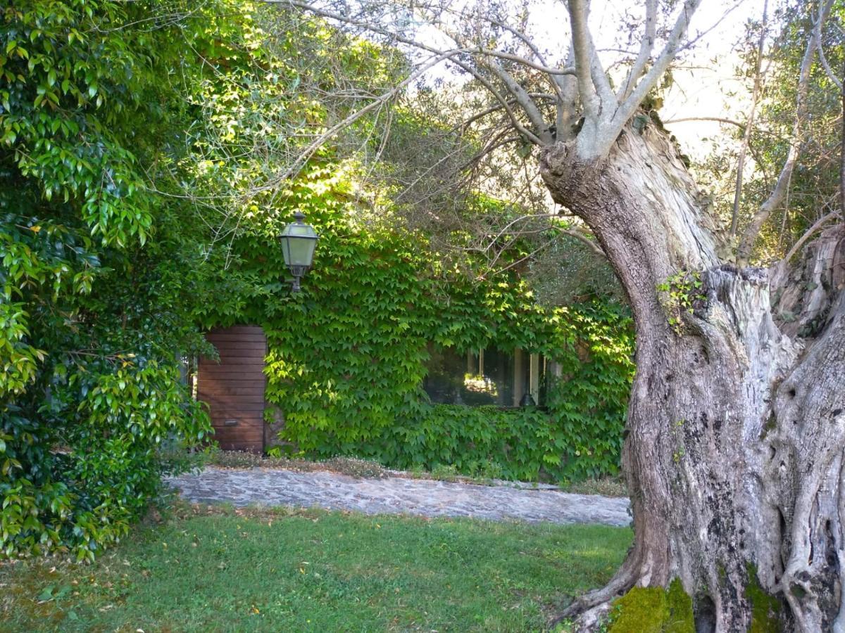 L'Agnata Di De Andre Boutique Hotel Tempio Pausania Exteriér fotografie